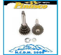 VESPA 50 SPECIAL PINASCO GRAN SPORT INGRANAGGIO QUADRUPLO CAMBIO MARCE 3/4 CORTA
