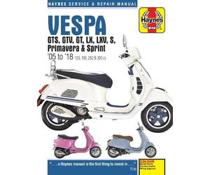 Vespa GTS, GTV, GT, LX, LXV, S, Primavera & Sprint (05 - 18) (Tascabile)