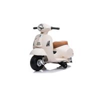Moto elettrica Biemme by Bcs Vespa 6V 1002 B