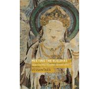 Vessantara Meeting the Buddhas (Tascabile)
