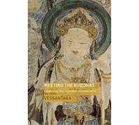 Vessantara Meeting the Buddhas (Tascabile)