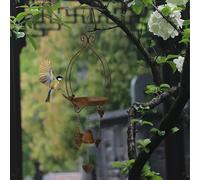 Vesta per mangiatoia per uccelli con il vento cortile del giardino cardinale