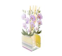 VESTA Profumatore d'ambiente Orchidea Livinia - Fragranza Anima by Chiara Firenze - Viola - 100 ml - Cristallo acrilico - Lavorazione artigianale - Idea regalo - Made in Italy