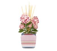 VESTA Profumatore d'ambiente Ortensia Aurora - Fragranza Destino by Chiara Firenze - Rosa - 100 ml - Cristallo acrilico - Lavorazione artigianale - Idea regalo - Made in Italy