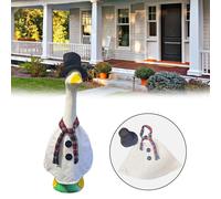 Vesti il tuo spazio esterno con questo simpatico abbigliamento per un'oca