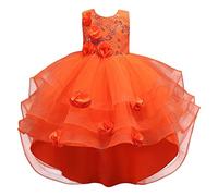 Vestito da principessa estivo senza maniche da principessa con fiori, abito da passerella, vestito da performance arcobaleno, Arancione, 12-13 Anni