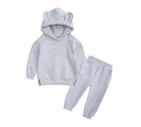 Vestito Elegante 2 Anni Completo per bambini in morbido cotone caldo girocollo manica lunga con cappuccio in tinta unita felpa set di vestiti per ragazzi o ragazze Due Anni Maschio (Grey, 2-3 Years)