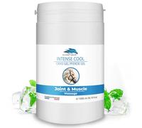 Vet CRYO Extra Forte Gel a Effetto Freddo per Cavalli, Cani, Gatti. Balsamo Rinfrescante per Dolori Muscolari e Articolari. Crema di Massaggio del Cavallo, Cane. PRO-Active Muscle Gel - 1000 ml