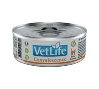 VET LIFE CAT CONVALESCENCE 85G