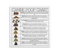 Veterinary Dog Poop Chart Poster Canine Stool Health Guide Identify Diarrhea Constipation Issues Home Clinic Classroom Wall Decor(Framed,16X24inch(40X60cm))