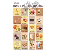 Veterinary Office Decor, Toxic Foods for Dogs Reference Chart, Client Education Wall Art for Clinic(Unframed,12x18inch(30x45cm))