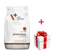VETEXPERT Dog Intestinal 12kg + una sorpresa per il vostro cane GRATIS!