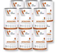 VETEXPERT Veterinary Diet Intestinal Dog 12x400g - di sconto in un set