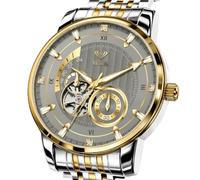 Vetra Orologio da polso da uomo automatico di lusso | Scheletro, due toni, Waterpoof, luminoso, alla moda, in acciaio inossidabile resistente