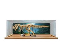Vetrina acrilica compatibile con Lego 76968 Dinosauro Fossile Tyrannosaurus Rex per raccogliere e proteggere espositori trasparente 110 x 24,9 x 34,8 cm (modello non incluso) (stile B (sfondo)