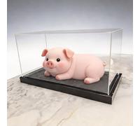 Vetrina Acrilico Vetrina Lunga in Acrilico 45 65 40 30 55 20 cm, Scatole Trasparenti per La Conservazione di Oggetti da Collezione Come Statuette, Vetrina Impilabile(65x40x40cm(26"x16"x16"))