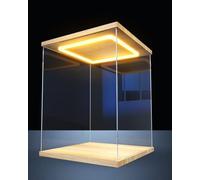 Vetrina in Acrilico con LED per Oggetti da Collezione e soldatini, vetrina Trasparente in Acrilico con sportello, Varie Dimensioni da 10x10x10 cm a 30x30x30 cm, Perfetta per la casa o Il neg
