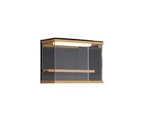 Vetrina in acrilico for figure, espositore antipolvere for oggetti da collezione, contenitore for giocattoli for bambole(30x13x21.5cm)