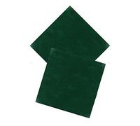 Vetrineinrete® 2 Tovaglia TNT 100 x 100 cm 70gr per Decorazioni Tavole Buffet Feste ristoranti verde P29