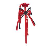 Vetrineinrete® Bomboniere 24 Pezzi Penna a Sfera con Tocco Nastro in Raso per la Laurea portaconfetti segnaposto Nero e Rosso (Rosso) M40