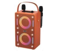 Vetrineinrete® Cassa Bluetooth Karaoke 30W RMS con Luci RGB 2 Microfoni