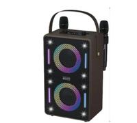 Vetrineinrete® Cassa Bluetooth Karaoke 30W RMS con Luci RGB 2 Microfoni