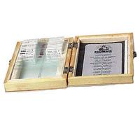 VETRINI PREPARATI: VITA NEL SUOLO