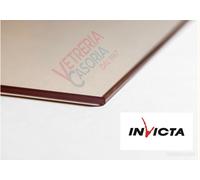 Vetro CERAMICO x stufa a legna(INVICTA VENDOME ) 47,5cm x 21,7 cm spessore 4mm