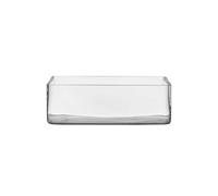Vetro Decorativo Giardiniera Ciotola Rettangolare 30x20x10cm Trasparente Hakbijl