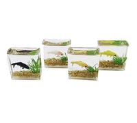 vetro per acquario, elegante modello in miniatura, accessori per casa delle bambole, realistica casa dei giocattoli, ornamenti per la casa, materiale in vetro qualità