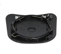 Vetro per specchio, Specchio grandangolare PACOL SCA-MR-007 per G I 11.705 2004-