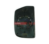 Vetro specchio Dx convesso FT88574 FAST per IVECO DAILY IV Autobus
