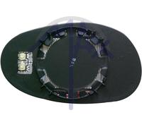 VETRO SPECCHIO RETROVISORE MERCEDES SMART 1998 2007 SINISTRO TERMICO CON PIASTRA