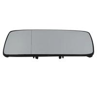 Vetro specchio Sx asferico 6102-02-1251125P BLIC per VW SEAT