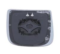 Vetro specchio Sx convesso 6102-02-1231229 BLIC per IVECO DAILY IV Autobus