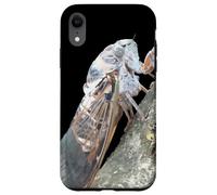 Vettore Di Insetto Cicala Custodia per iPhone XR