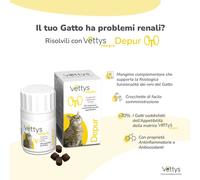 VETTYS Integra Depur Gatto
