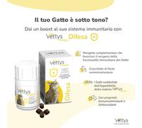 VETTYS Integra Difesa Gatto