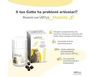 VETTYS Integra Mobilita'Gatto