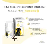 Vettys Integra Regolarita' - 30 Compresse - Cane