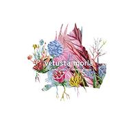 VETUSTA MORLA - MISMO SITIO, DISTINTO..