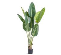 VEVOR Albero Artificiale, 1,52 m Alta Pianta Finta Palma Uccelli del Paradiso Realistica, Materiale PE di Qualità e Protezione Anti-Ribaltamento con Vaso, Decorazione per Casa Ufficio Interno Esterno