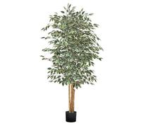VEVOR Albero Artificiale da Interno da 1829 mm con Vaso Nero, Albero di Ficus Artificiale con Tronco in Legno Naturale e Foglie Verdi Realistiche, per Interni per Casa, Soggiorno o Angolo Decorativo