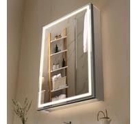VEVOR Armadietto per Medicinali Illuminato con Specchio 50 x 70 cm da Incasso o da Parete, Mobiletto per Medicinali da Bagno con LED Dimmerabile a 3 Colori, Illuminazione Inferiore