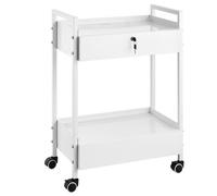 VEVOR Carrello da laboratorio, Carrello multiuso in acciaio inox a 2 livelli, Carrello medico 2 cassetti, rotelle girevoli per laboratorio, ospedale, odontoiatria, salone bellezza