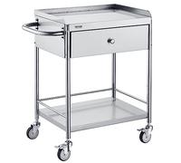 VEVOR Carrello da Laboratorio in Acciaio Inox 2 Ripiani Capacità Carico Totale Massima 100kg, Carrello Sanitario in Acciaio Inox 201 710 x 421 x 785 mm, Carrello per Medicazione da Laboratorio 2 Piani
