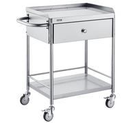VEVOR Carrello da Laboratorio in Acciaio Inox 2 Ripiani Capacità Carico Totale Massima 100kg, Carrello Sanitario in Acciaio Inox 201 710 x 421 x 785 mm, Carrello per Medicazione da Laboratorio 2 Piani