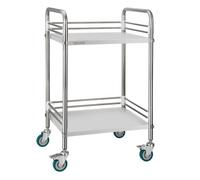 VEVOR Carrello Portaoggetti da Laboratorio a 2 Livelli con Ruote Bloccabili, Carrello in Metallo per Servizio Medico, Vassoio per Clinica, Vassoio di Stoccaggio Mobile per Impieghi Gravosi