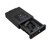 VEVOR Cassaforte per Armi Pistole 3 Modi di Accesso Capienza 2 Pistole Nero