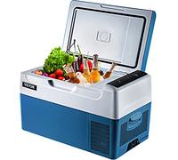 Vevor - Frigo portatile elettrico per mantenere la freschezza di bevande e birre in campeggio e camion (22 L)